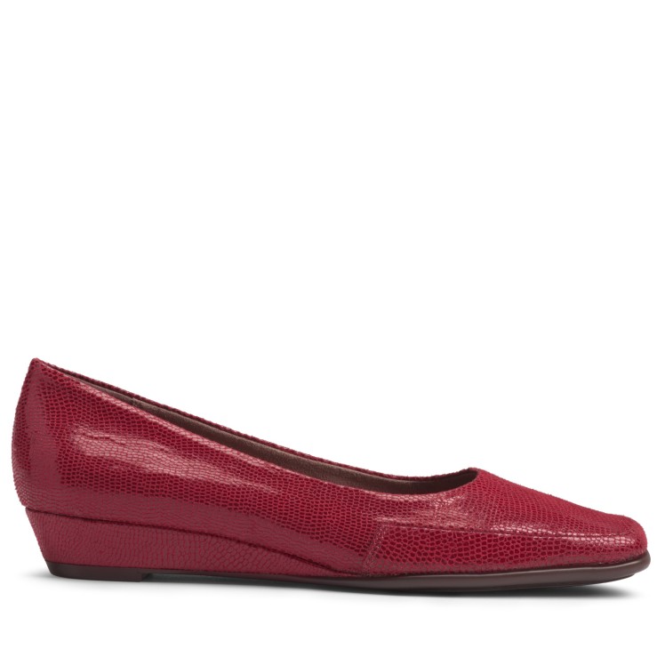 הקוסם מארץ עוץ 419 שח