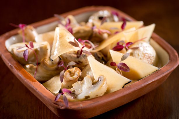 פטריות בחוזליטו. צילום שי בן אפריים