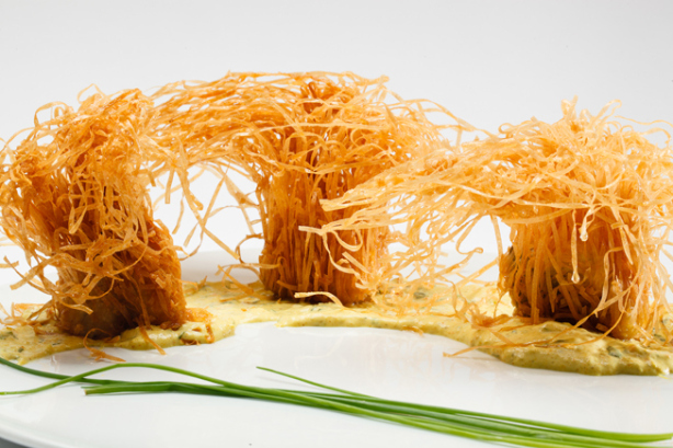 צילום: נמרוד גנישר