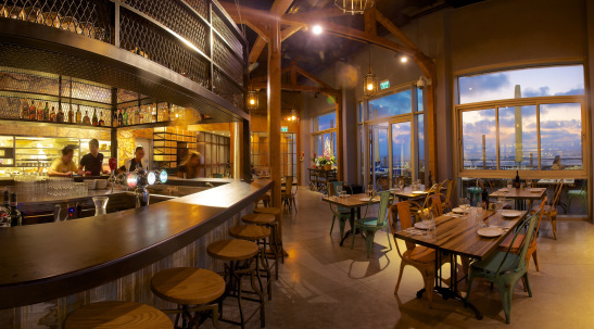 צילום: סטודיו דרור כץ 