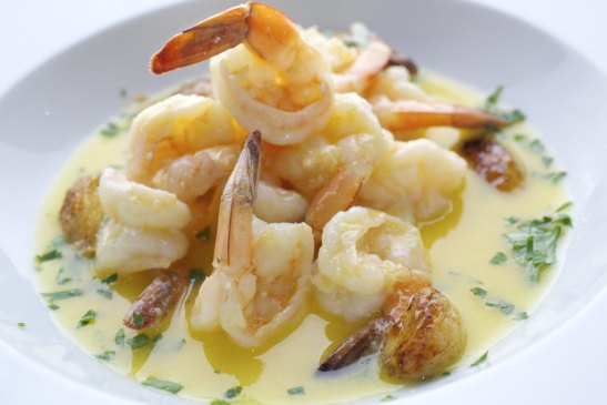 צילום: סטודיו דרור כץ 