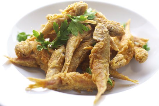 צילום: סטודיו דרור כץ 