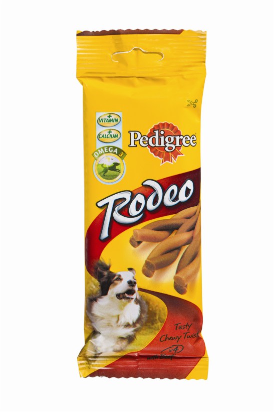 צילום: מיכאל כץ