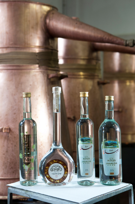 IMG_הבקבוקים על רקע 2הקרקה