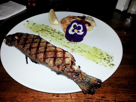 פוטוגני מכל זווית. צילום: אביגיל לאפין גרא