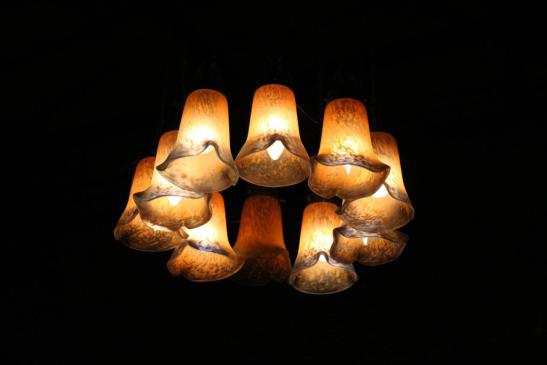 צילום: יוני גרא