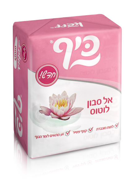 צילום: מוטי פישביין 