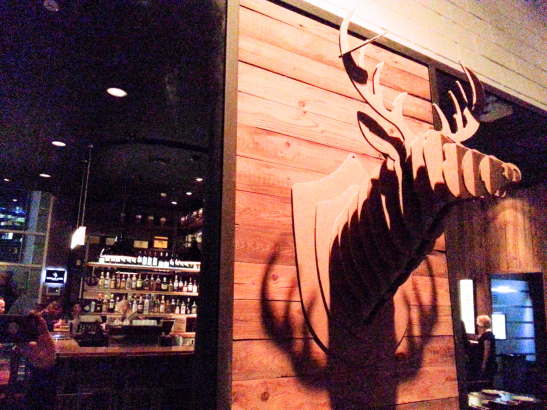 צילום: אביגיל לאפין גרא