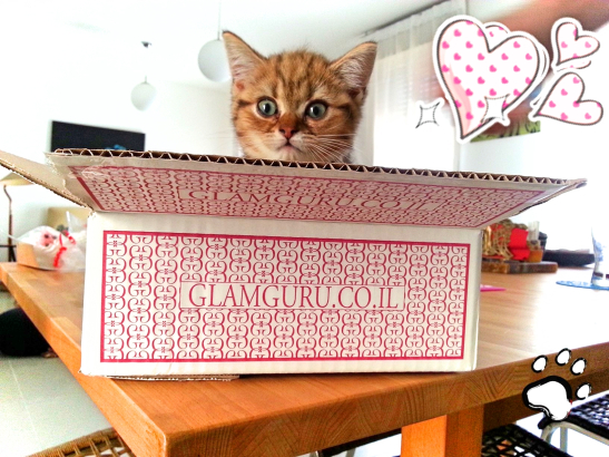 וחייבים את אלביס מעוד זווית