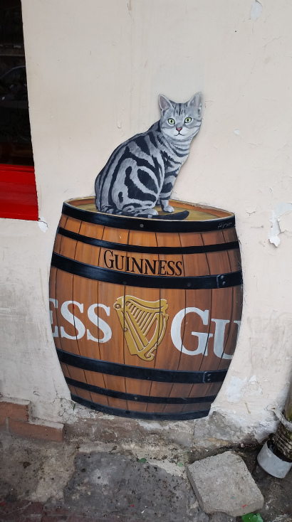 מולי בלום3 (3)