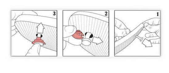 1958397_386358568196289_8794285646913292868_n