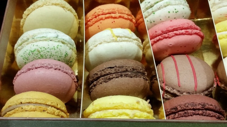 צילום: אביגיל לאפין גרא