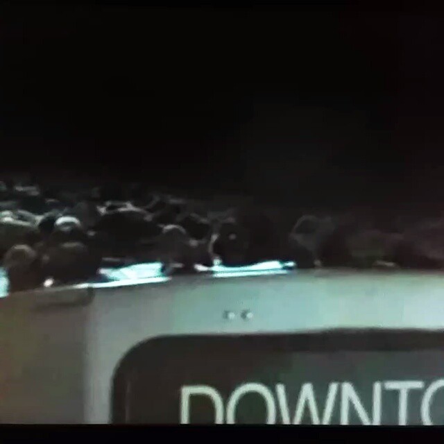 אז ככה זה הולך להיראות #rats