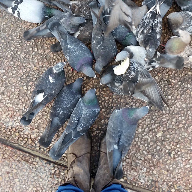 #הלוקהיומי #love #TagsForLikes @TagsForLikes #instagood #me #smile #follow #cute #photooftheday #tbt #followme #tagsforlikes #girl #beautiful #happy #picoftheday #instadaily #food #swag #amazing #TFLers #fashion #igers #fun #summer #instalike #bestoftheday #smile #like4like #friends #instamood